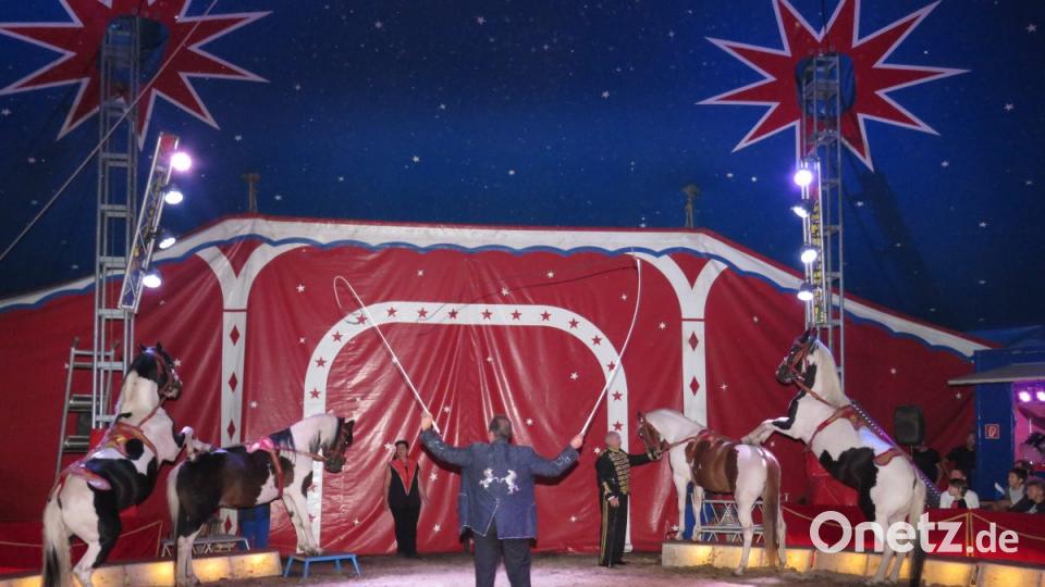 Zirkus Henry gastiert in Tirschenreuth. Bild: ubb