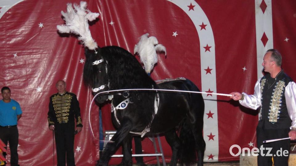 Zirkus Henry gastiert in Tirschenreuth. Bild: ubb