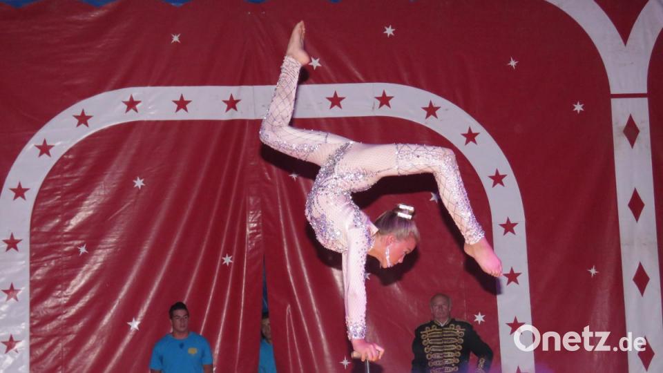 Zirkus Henry gastiert in Tirschenreuth. Bild: ubb