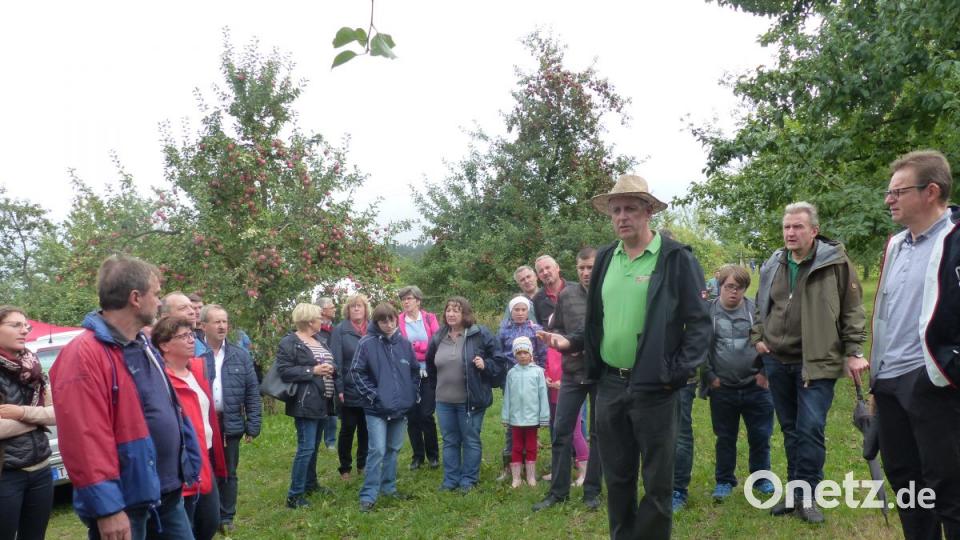 Auf der Streuobstwiese erklärt Josef Bernhard alles rund um das ergiebige Apfeljahr 2018. Bild: sl