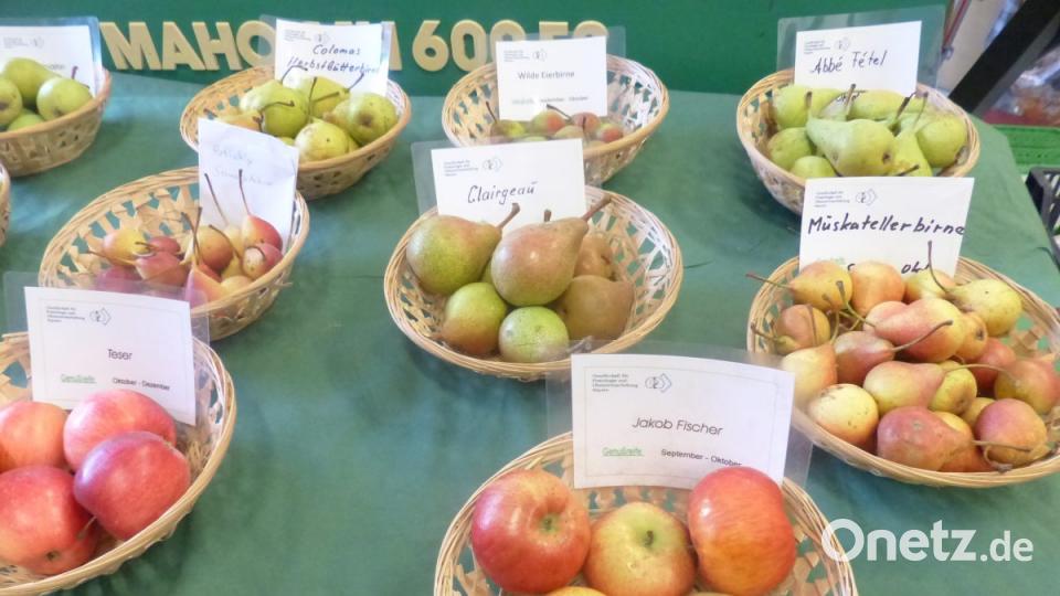 3000 Besucher erlebten natürliche Kost in fester und flüssiger Art Bild: sl