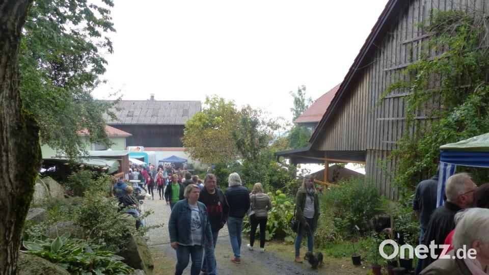 3000 Besucher erlebten natürliche Kost in fester und flüssiger Art Bild: sl