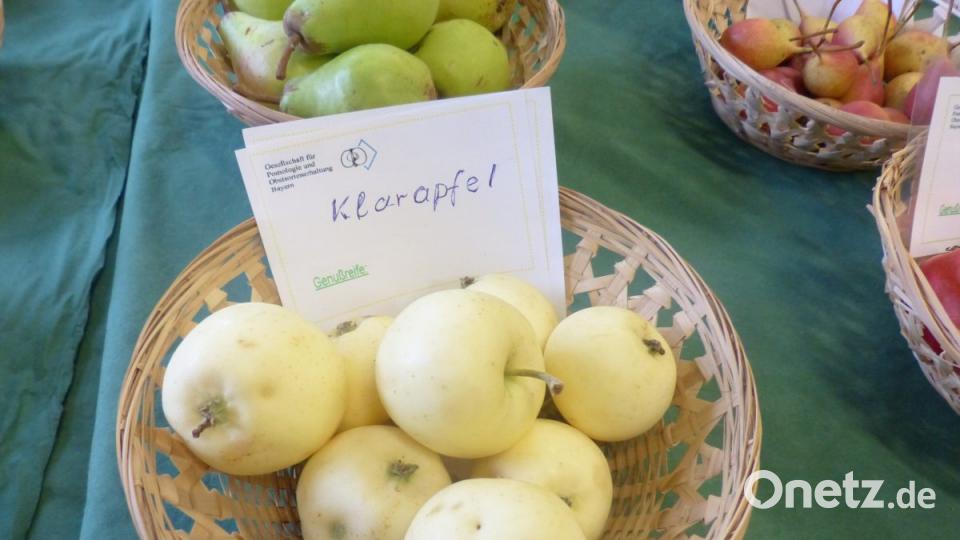 3000 Besucher erlebten natürliche Kost in fester und flüssiger Art Bild: sl
