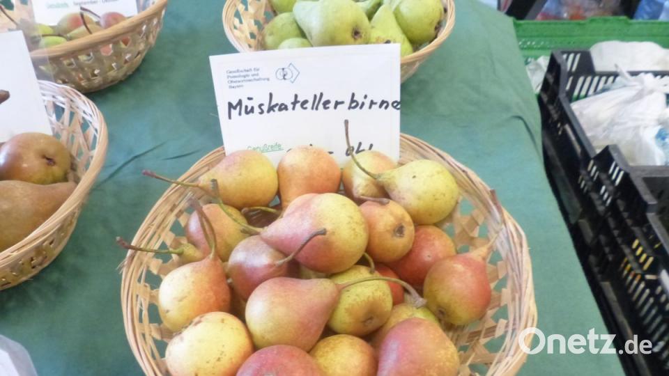 3000 Besucher erlebten natürliche Kost in fester und flüssiger Art Bild: sl