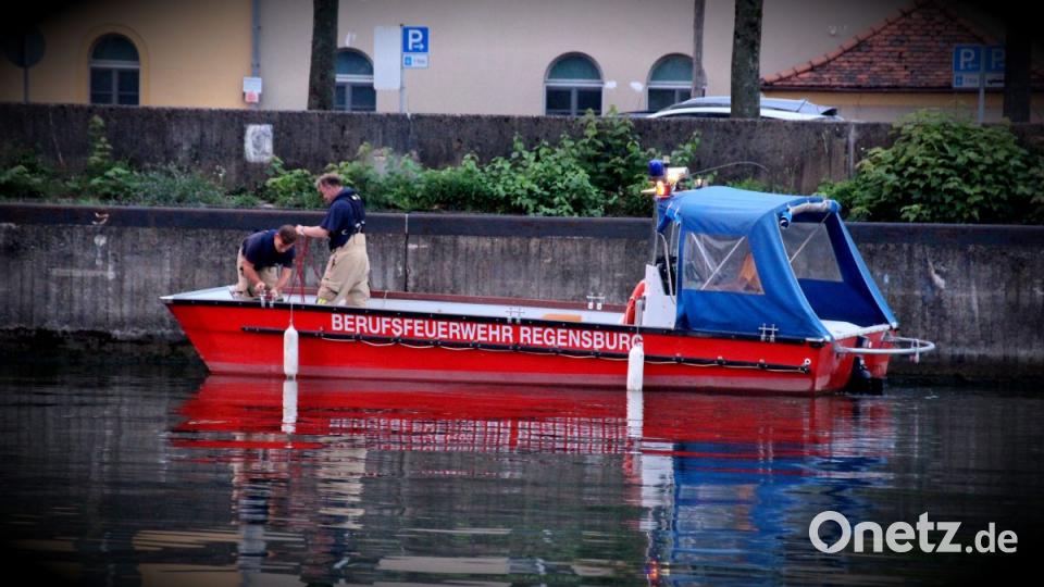 Auf der Donau wurde am Dienstag ein starker Ölfilm bemerkt. Bild: Alexander Auer