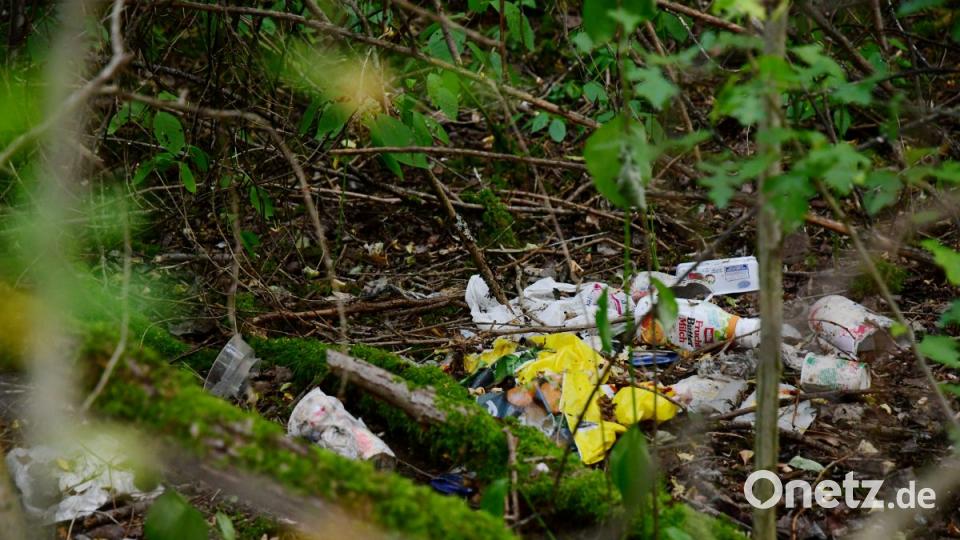 Frischerreiverein Amberg beim Müllsammeln Bild: Petra Hartl