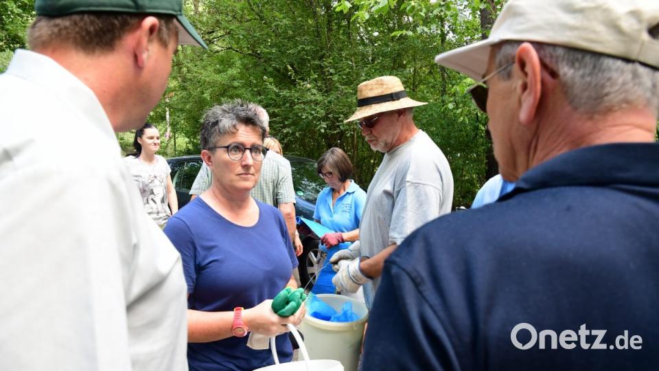 Frischerreiverein Amberg beim Müllsammeln Bild: Petra Hartl
