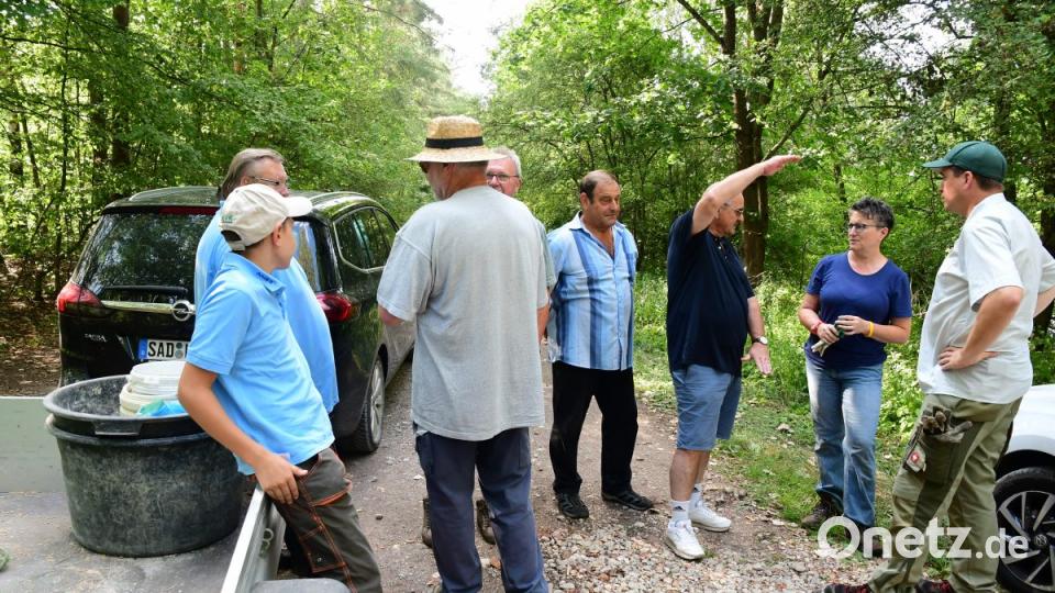 Frischerreiverein Amberg beim Müllsammeln Bild: Petra Hartl