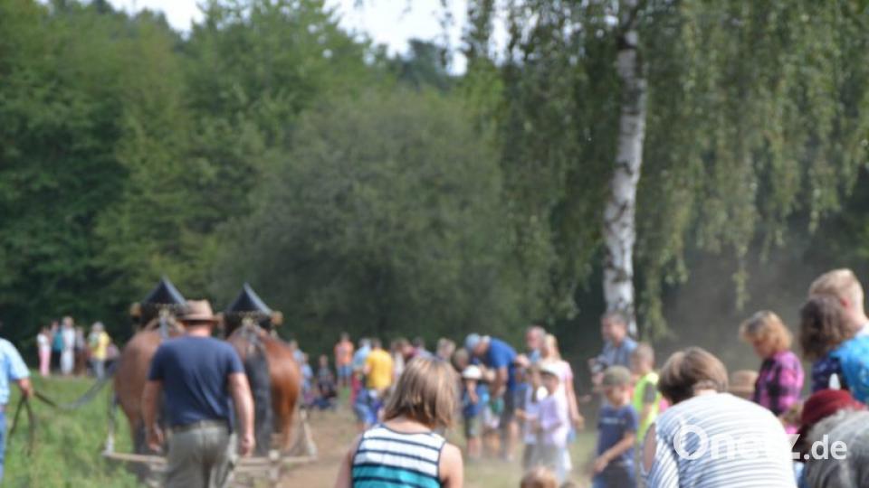 Die Kinder hatten sichtlich Spaß beim Kartoffelaufsammeln Bild: Freya Stöckl