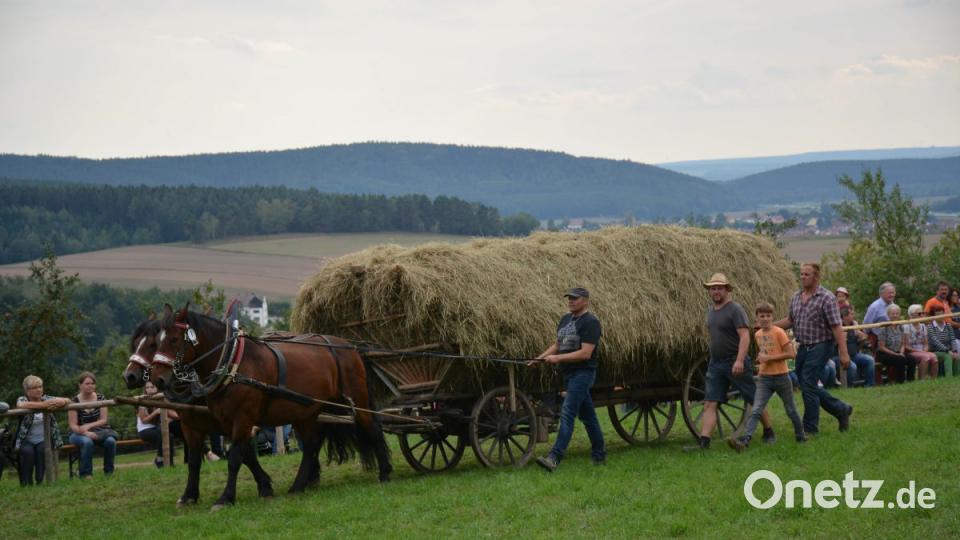 Klassischer Heuwagen Bild: Freya Stöckl