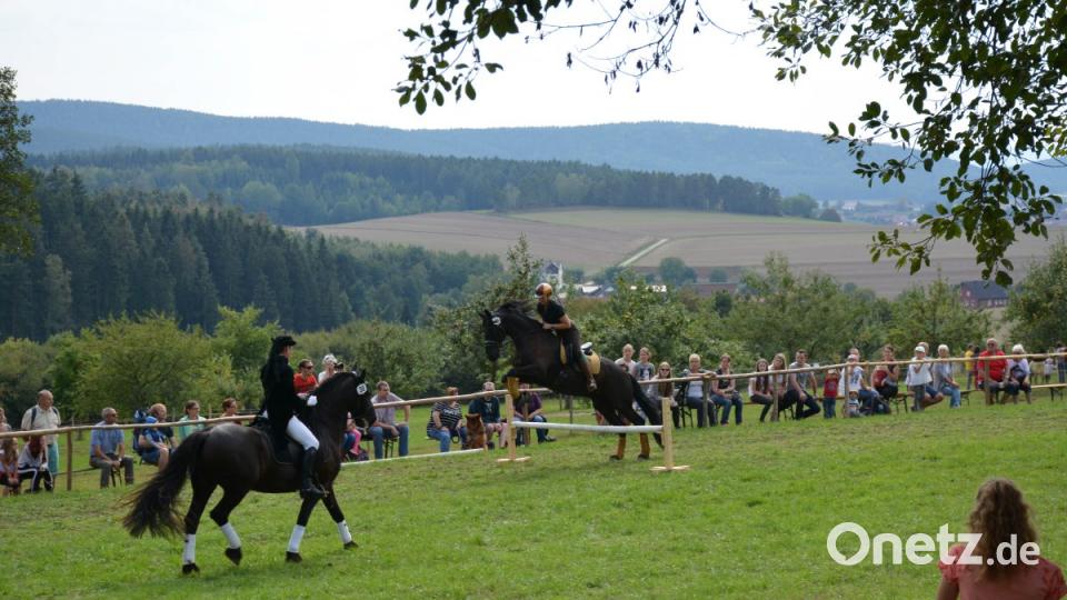 Geschicklichkeitsvorführung Bild: Freya Stöckl