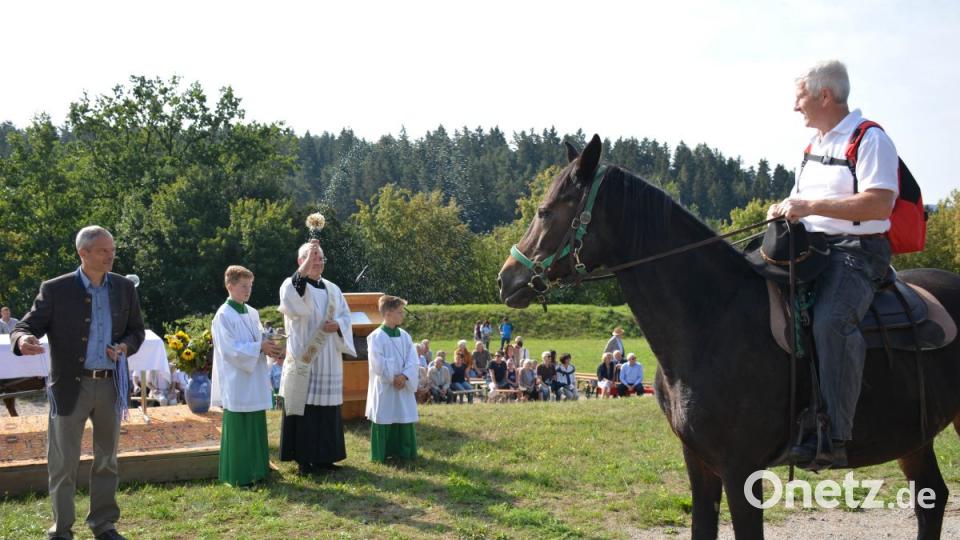 Pferdesegnung Bild: Freya Stöckl