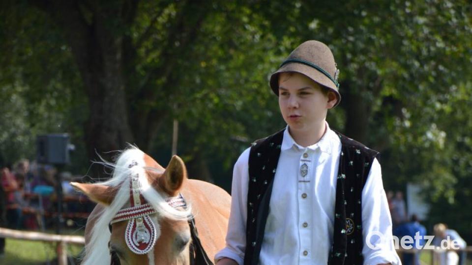 Haflinger bei der Pferde-Rasseschau Bild: Freya Stöckl
