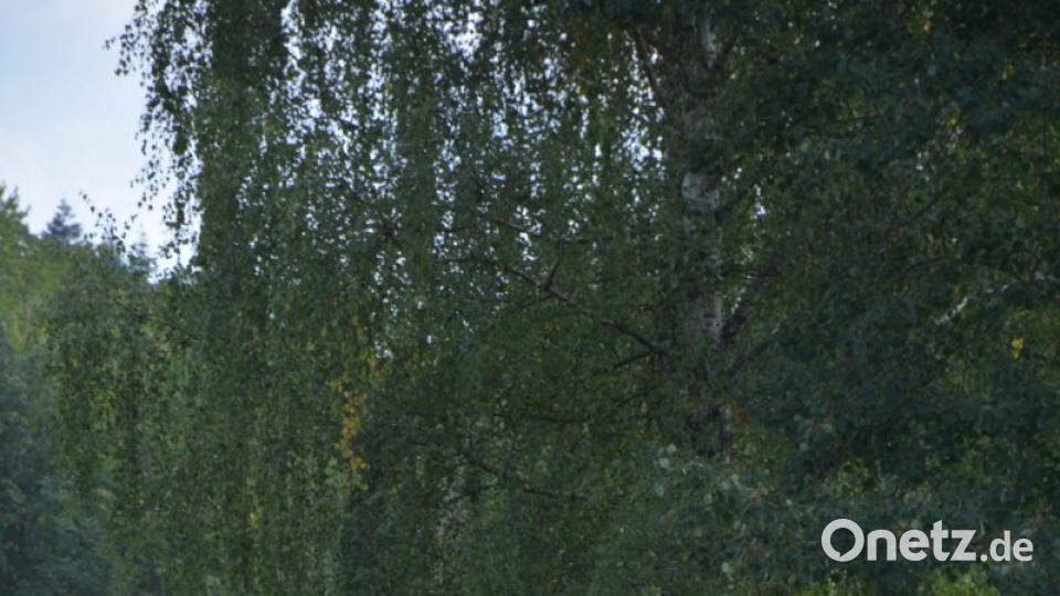 Misteinbringen auf das Feld per Hand Bild: Freya Stöckl