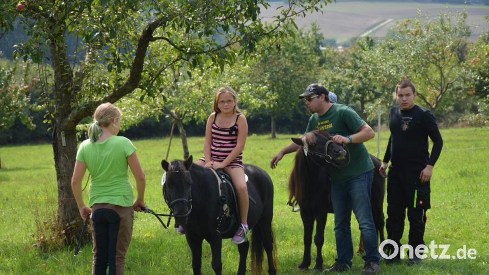 Ponyreiten Bild: Freya Stöckl
