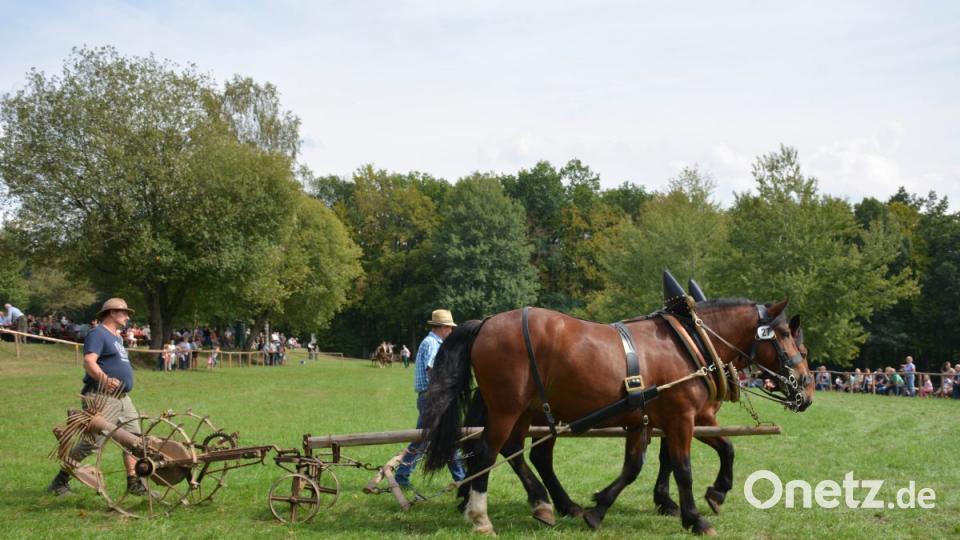 Historisches Feldarbeitsgerät Bild: Freya Stöckl