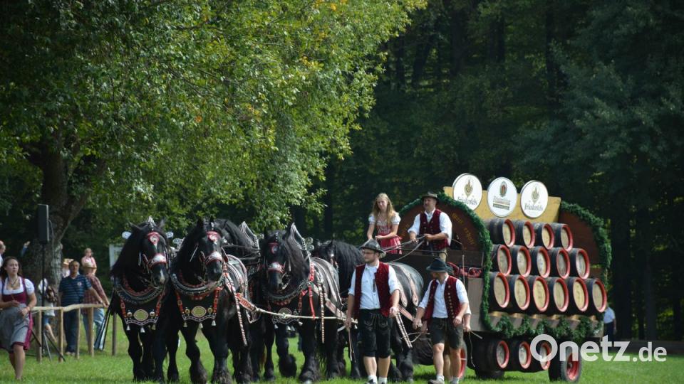 Prunkvolles Brauerei Kaltblut-6-Spänner Bild: Freya Stöckl