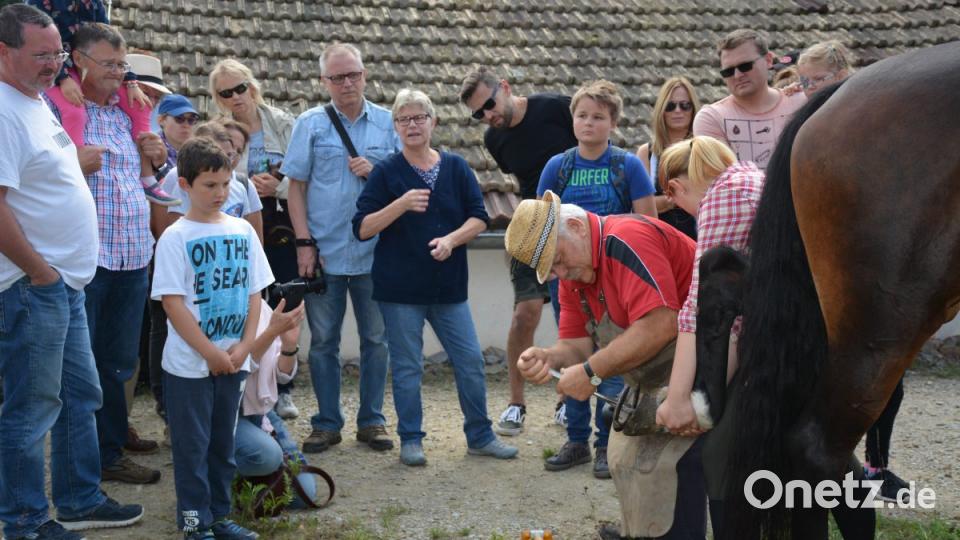 Beschlagwechsel Bild: Freya Stöckl