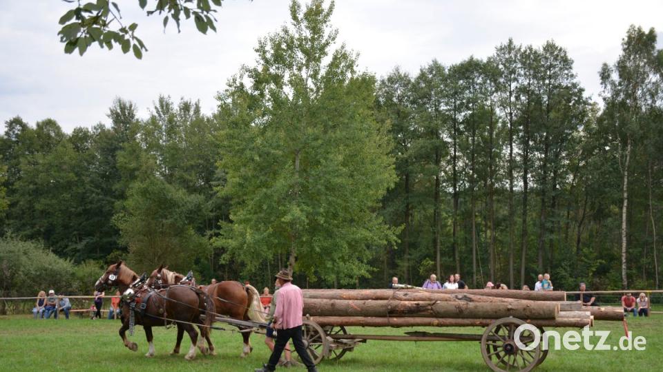 Impressionen 26. Rosstag Bild: Freya Stöckl