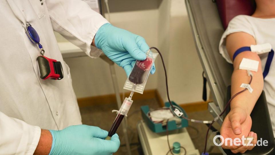 Der BRK-Blutspendedienst steckt im Sommerloch. Täglich fehlen fünf bis zehn Prozent an Blutkonserven Bild: Lukas Meister