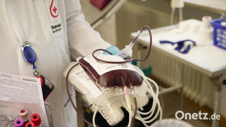 Der BRK-Blutspendedienst steckt im Sommerloch. Täglich fehlen fünf bis zehn Prozent an Blutkonserven Bild: Lukas Meister