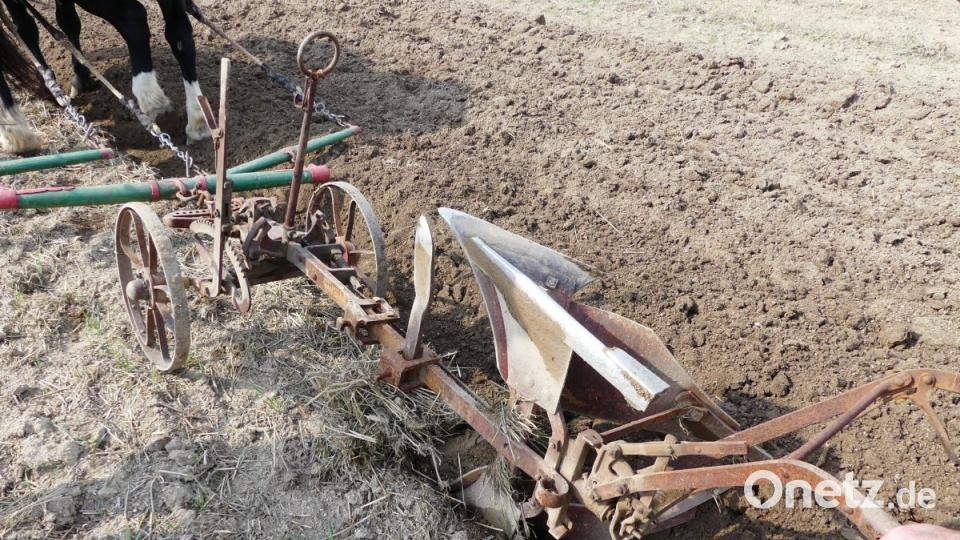 Mit einfachsten Mittel bewirtschafteten früher die Menschen ihre Felder. Bild: Ilse Hauer