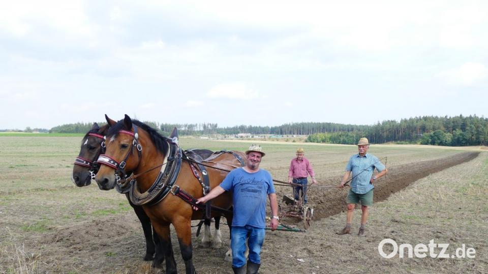 Ackern wie früher: Joe Stangl, Günter Riedl und Theo Summer wollen daran erinnern wie es früher war. Bild: Ilse Hauer