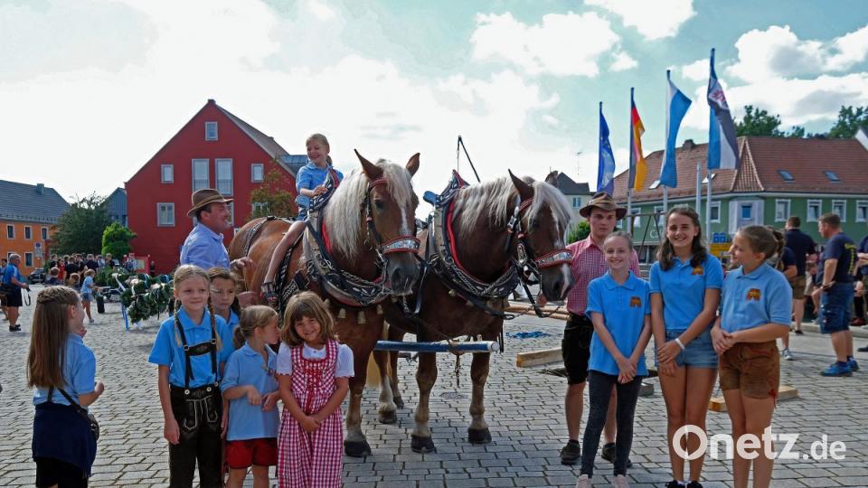 Die braven Pferde vom Hägler Georg sind von den Kindern umlagert Bild: twi