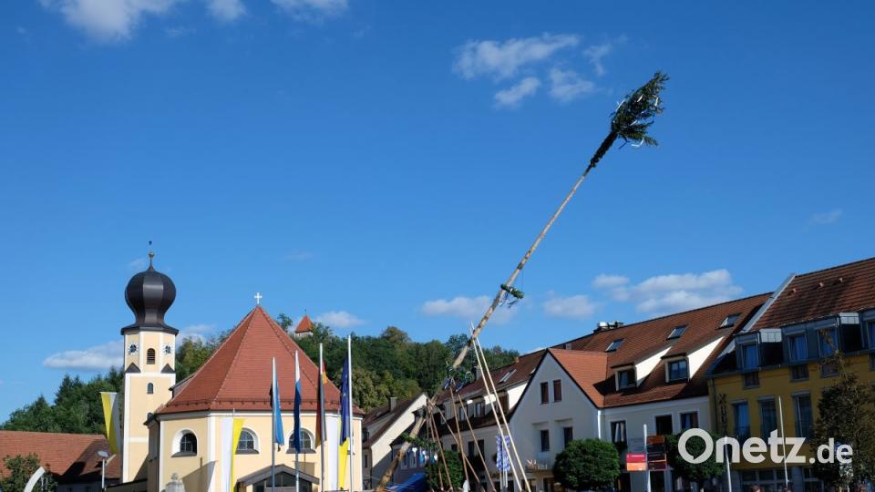 Baum aufstellen Bild: twi