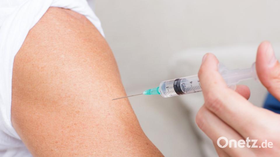 Adam Gregor – stock.adobe.com