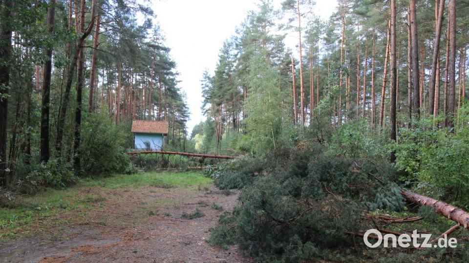 Sturmschäden Grafenwöhr Bild: sne