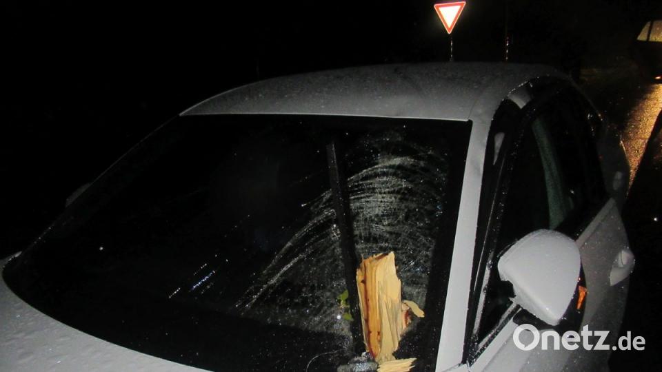 Ein Ast bohrt sich in die Frontscheibe. Bild: Polizei