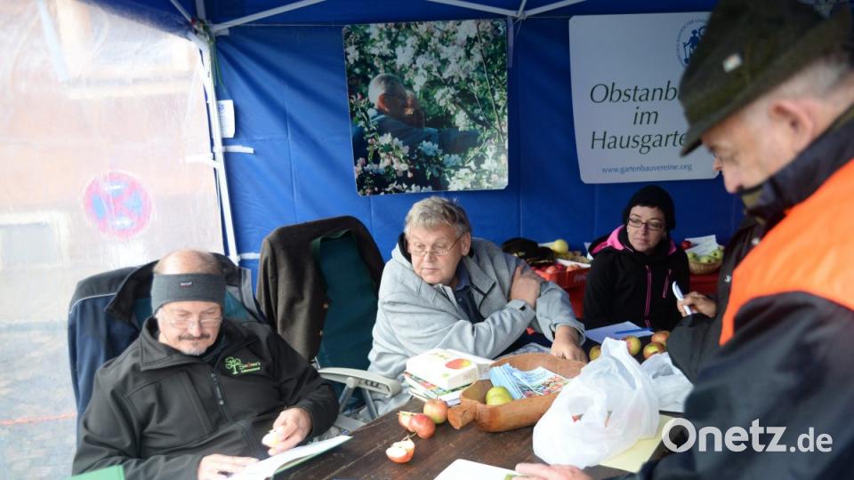 Der Arbeitskreis Streuobst der Öko Modellregion Amberg-Sulzbach hatte die renommierten Pomologen Josef Wittmann und Jürgen Pompe eingeladen, um von den Besuchern mitgebrachte Äpfel- und Birnensorten auf deren genau Herkunft zu bestimmen. Bild: brü