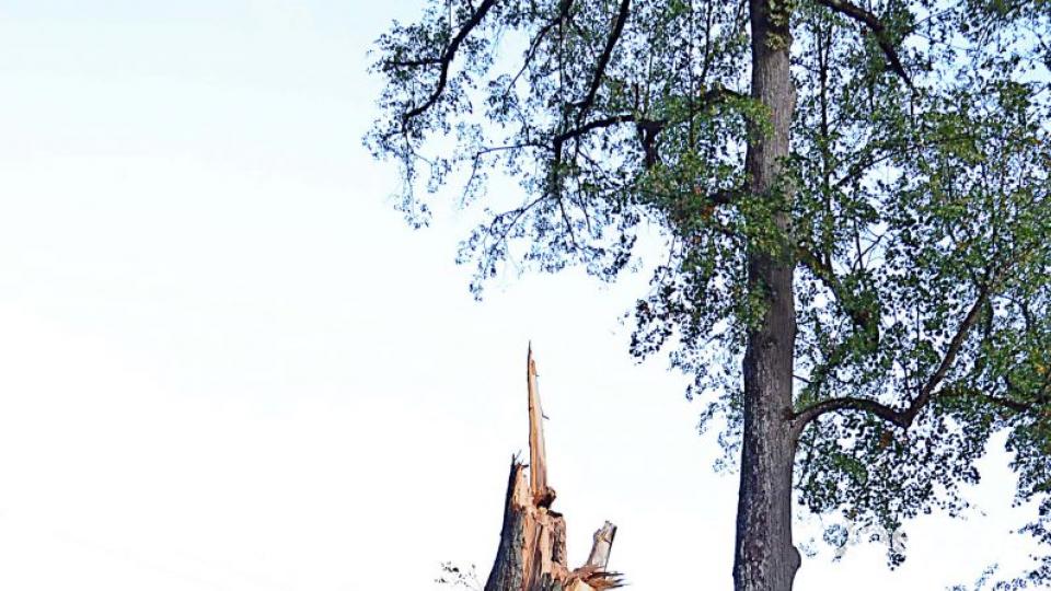 Sturmschäden im Bereich der Marktgemeinde Kirchenthumbach. Bild: ü