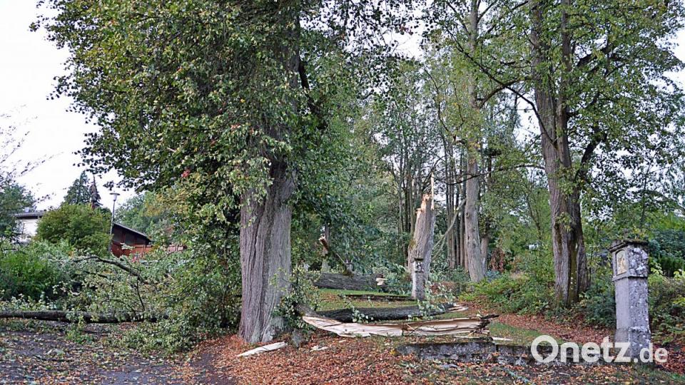 Kreuzweg-Allee bei der Kirchenthumbacher Bergkirche. Bild: ü