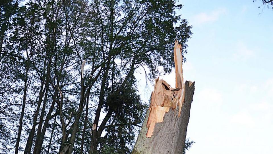 Sturmschäden im Bereich der Marktgemeinde Kirchenthumbach. Bild: ü