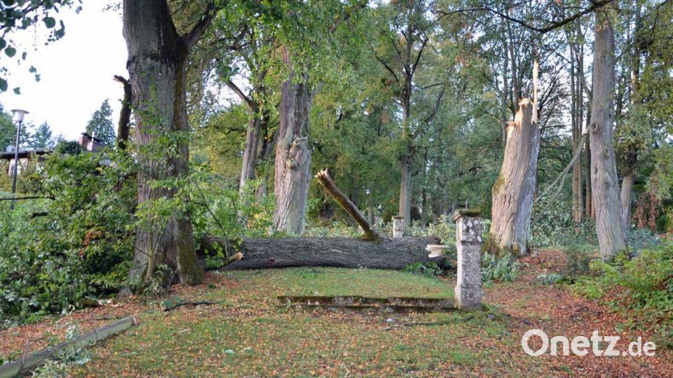 Kreuzweg-Allee bei der Kirchenthumbacher Bergkirche. Bild: ü
