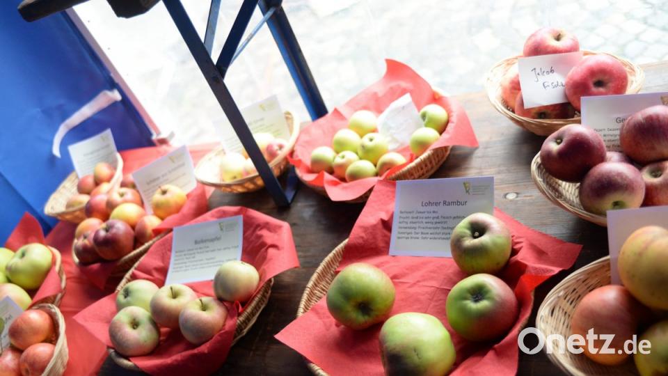 Diverse Apfelsorten. Bild: brü