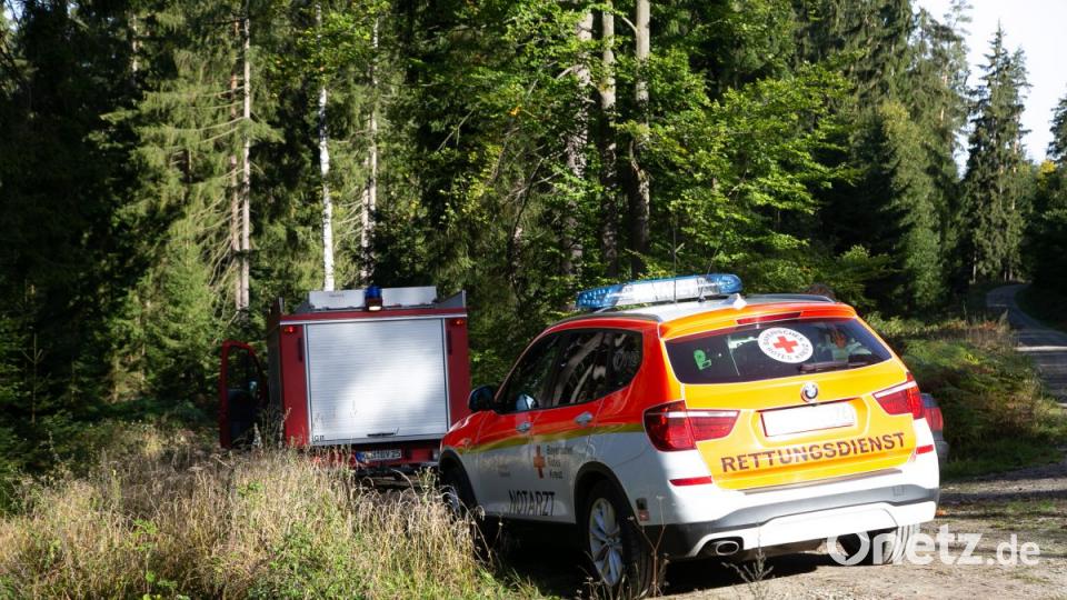 Forstunfall im Steinwald. Bild: rw
