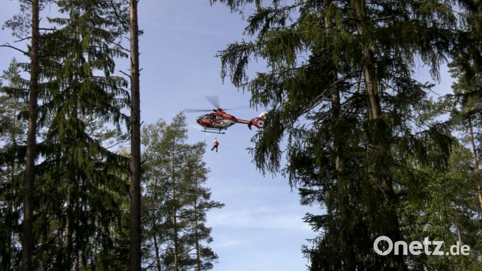 Forstunfall im Steinwald. Bild: rw