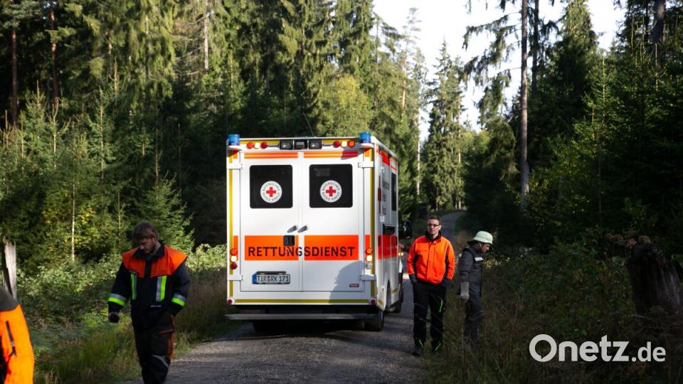 Forstunfall im Steinwald. Bild: rw