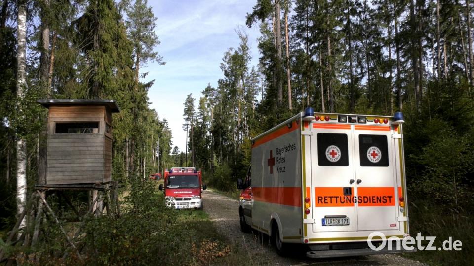 Forstunfall im Steinwald. Bild: rw