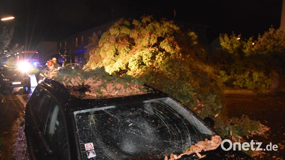 Sturmtief &quot;Fabienne&quot; hat in Weiden und dem Landkreis Neustadt massive Schäden angerichtet. Bild: mte