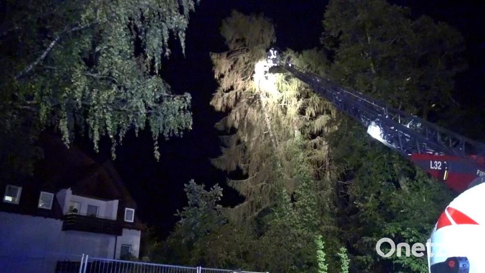 Ein Baum stürzte auf das BRK-Alten- und Pflegeheim Hammergmünd bei Grafenwöhr. Bild: jma