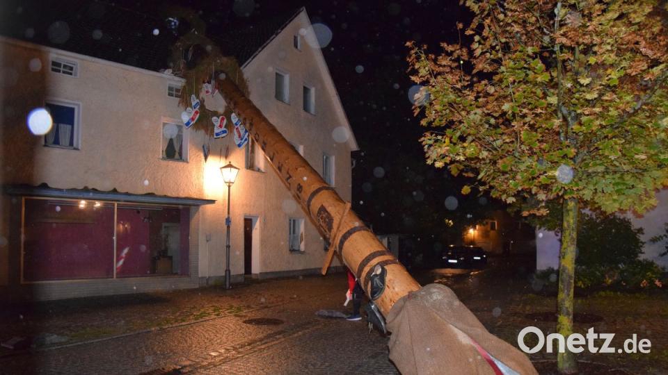 Da liegt er nun, der Schmidmühlener Kirwabaum. Sturm Fabienne hat ihn am Sonntagabend umgedrückt. Bild: bö