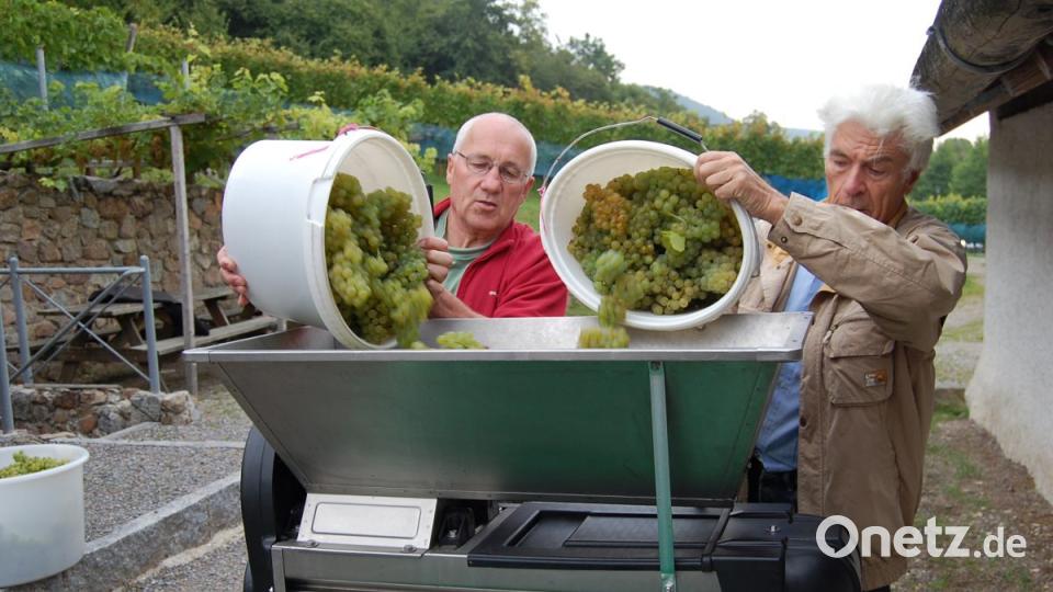 Vorsitzender Professor Dr. Dieter Strauch (rechts) und Stellvertreter Otto Reichinger freuen sich über eine gute Ernte. Bild: Frisch