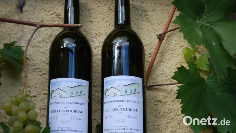 Der "Regensburger Landwein" hat viele Freunde. Die Museumsabfüllungen sind allerdings Raritäten. Bild: Portner
