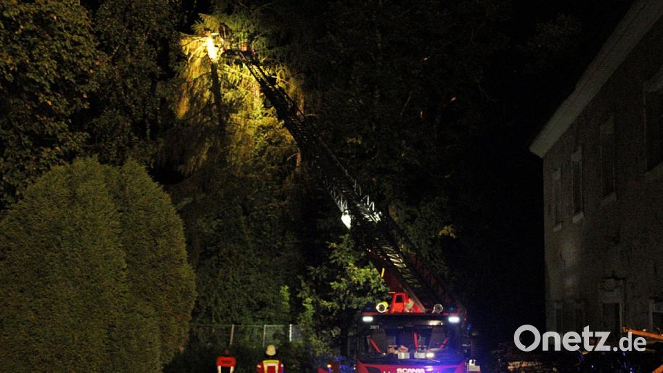 Ein Baum stürzte auf das BRK-Alten- und Pflegeheim Hammergmünd bei Grafenwöhr. Bild: jma