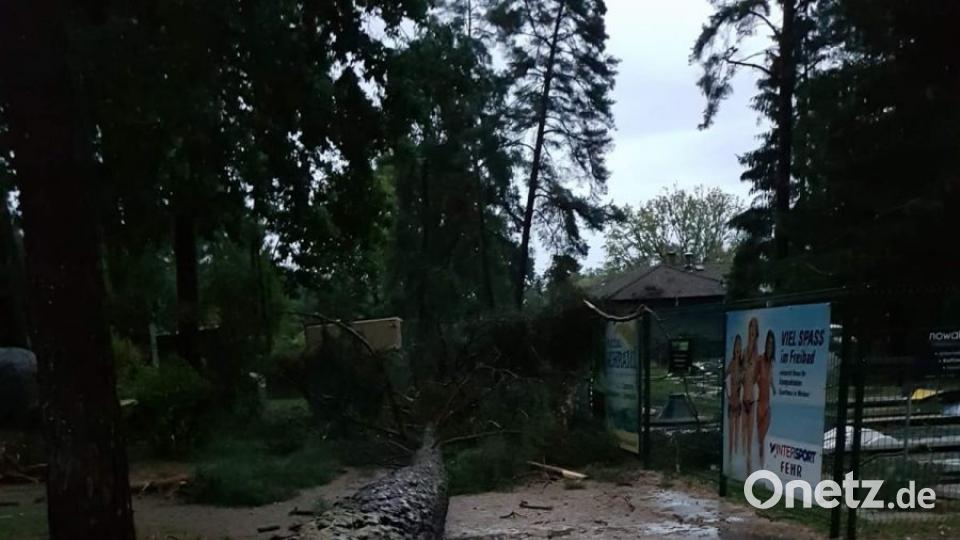 Sturmtief &quot;Fabienne&quot; hat in Weiden und dem Landkreis Neustadt massive Schäden angerichtet. Bild: mte