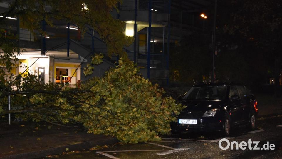 Glück gehabt: Der Fahrer dieses Wagens wird nicht schlecht staunen, wenn er morgen zurückkommt. Der Baum in der Nähe des Verlagshauses der Oberpfalzmedien in Weiden hat das Fahrzeug nur knapp verfehlt. Bild: mte